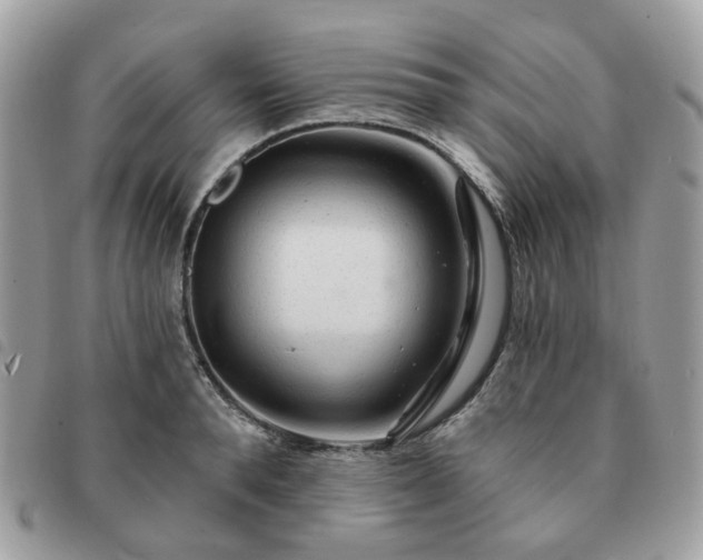 X0000091310896200708171413