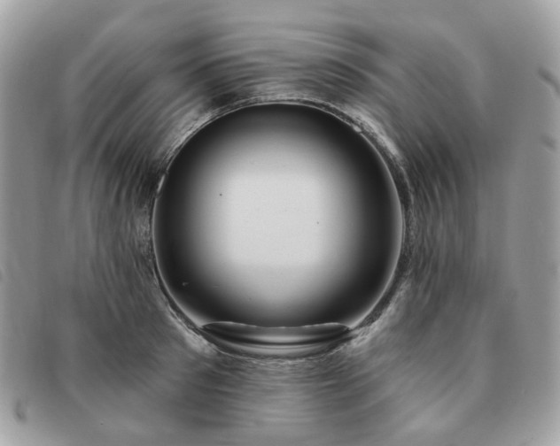 X0000091310897200708171413