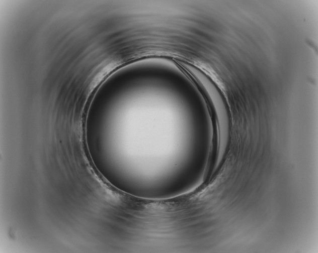 X0000091310898200708171413