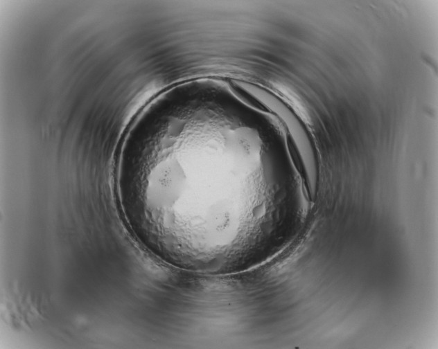 X0000091310899200708171413