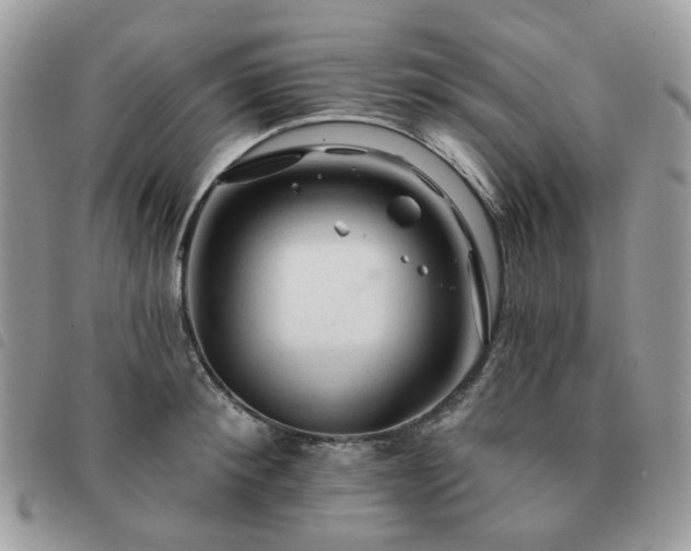 X0000091310900200708171413