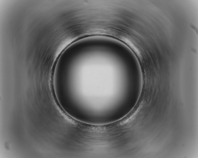 X0000091310901200708171413