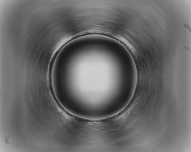 X0000091310902200708171413