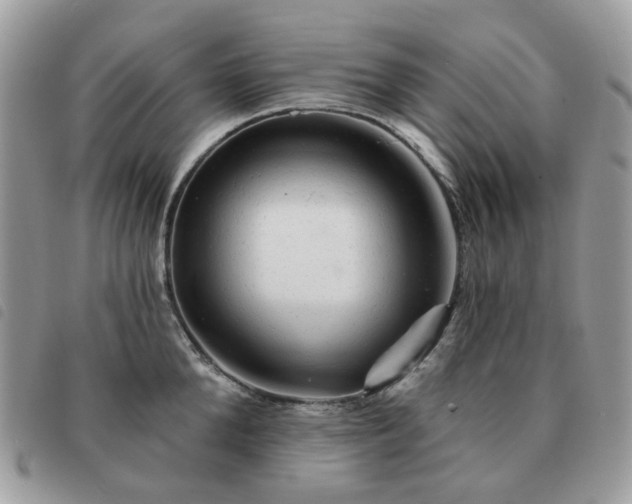 X0000091310904200708171413