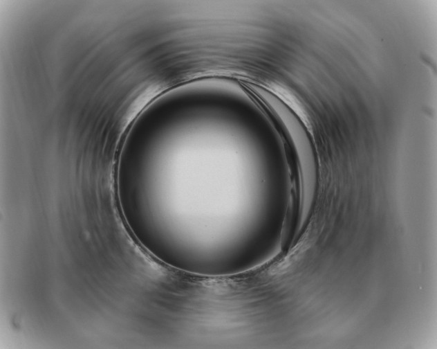 X0000091310906200708171413