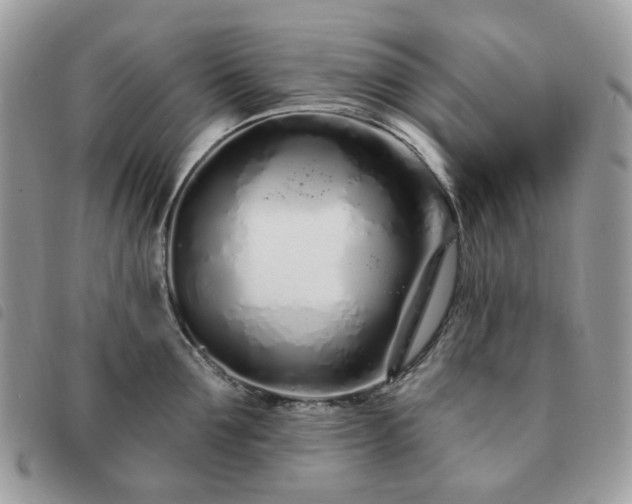 X0000091310907200708171413