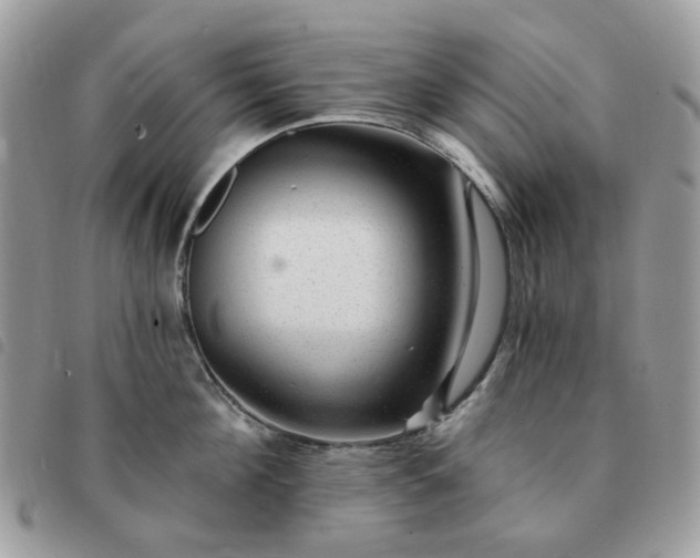 X0000091310908200708171412