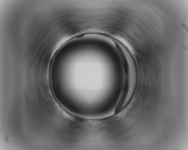 X0000091310910200708171412