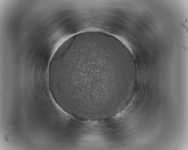 X0000091310911200708171412