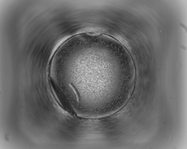 X0000091310912200708171412