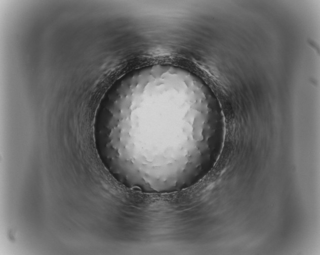 X0000091310913200708171412