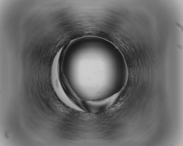 X0000091310916200708171412