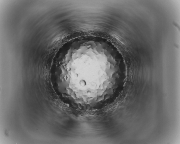 X0000091310917200708171412