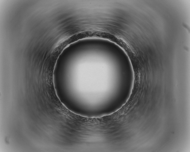 X0000091310919200708171412