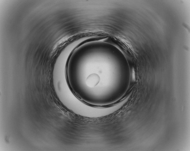 X0000091310920200708171412