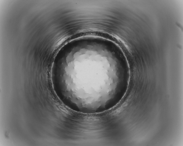 X0000091310921200708171412