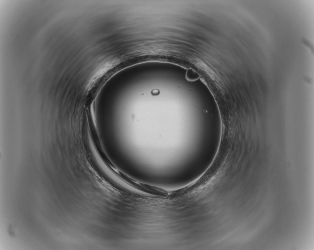 X0000091310922200708171412