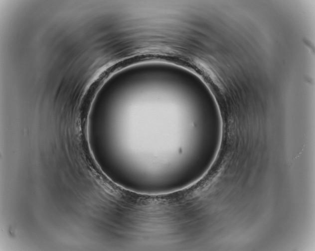 X0000091310923200708171412