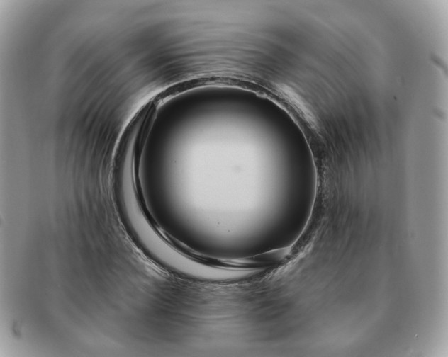 X0000091310924200708171412