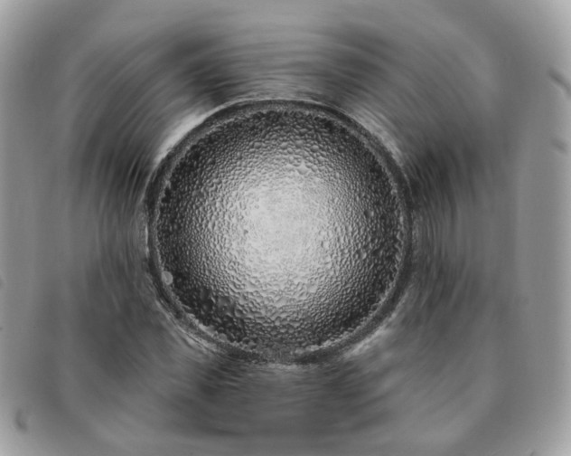 X0000091310925200708171412