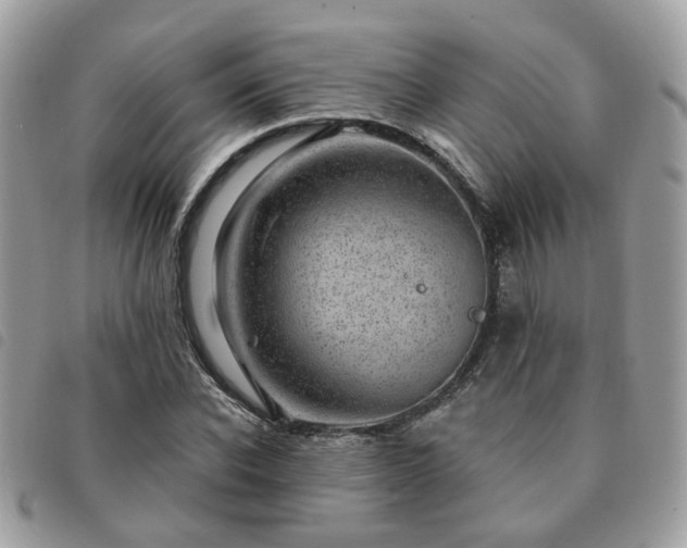 X0000091310926200708171412