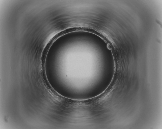 X0000091310927200708171412