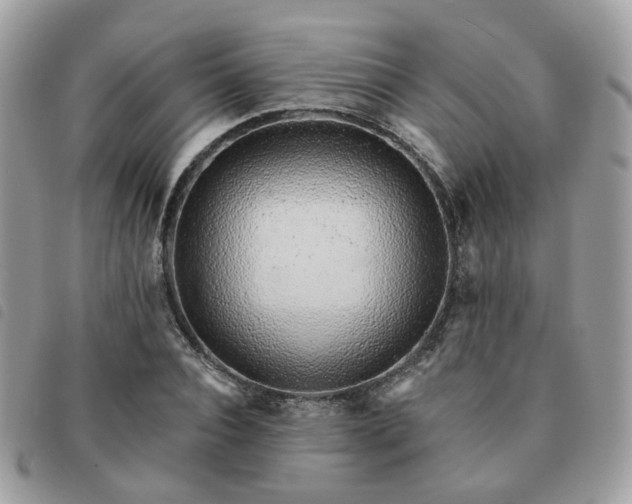 X0000091310928200708171412