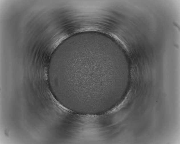 X0000091310929200708171412