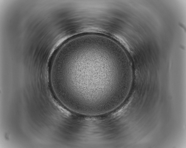 X0000091310931200708171412