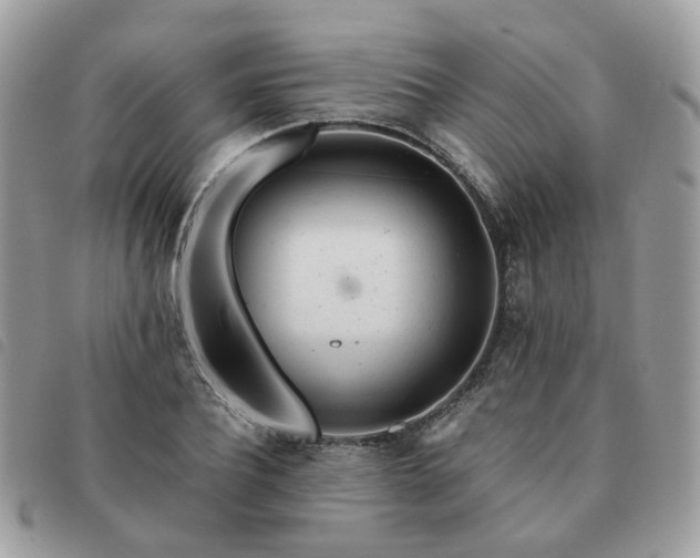 X0000091310932200708171412