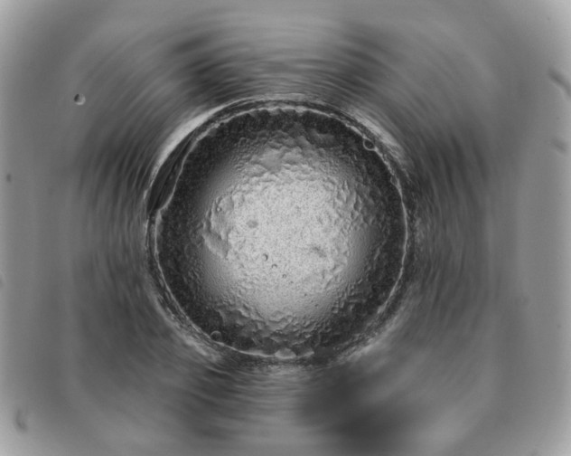 X0000091310933200708171412