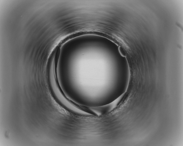 X0000091310934200708171412