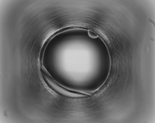 X0000091310936200708171412