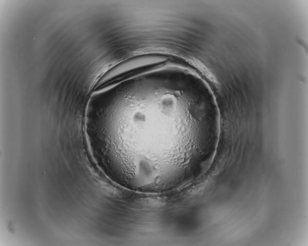 X0000091310937200708171412