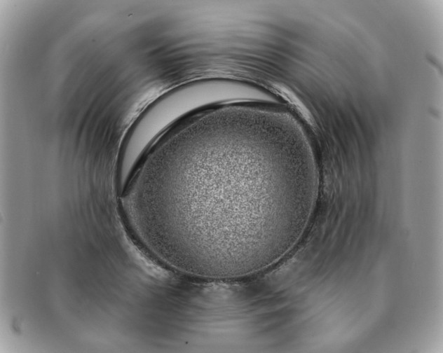 X0000091310938200708171412