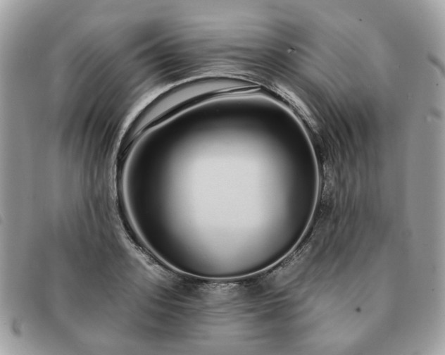 X0000091310939200708171412