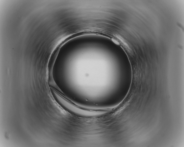 X0000091310940200708171412