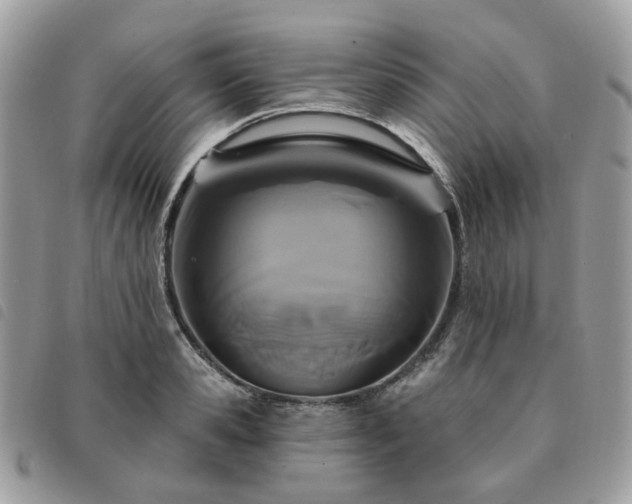 X0000091310941200708171412