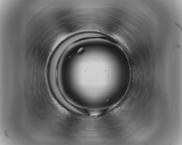 X0000091310942200708171412