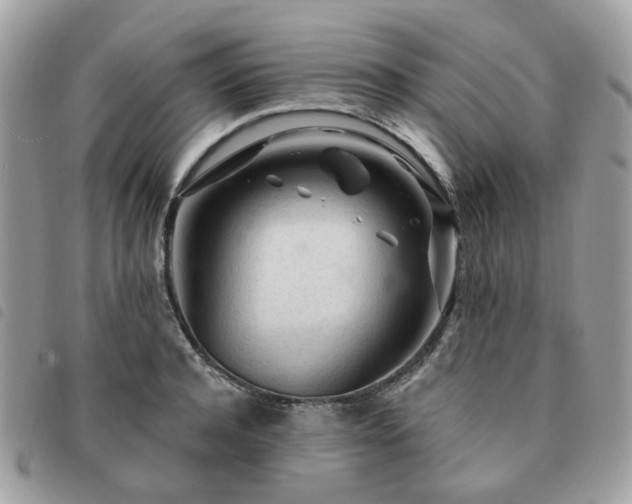 X0000091310944200708171412