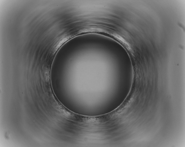 X0000091310945200708171412