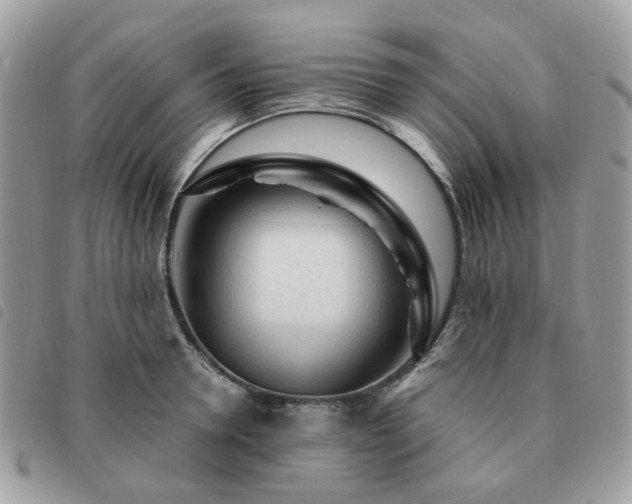 X0000091310946200708171412