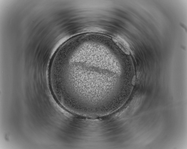 X0000091310947200708171412