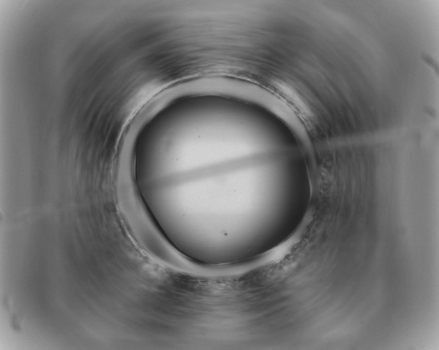 X0000091310948200708171412