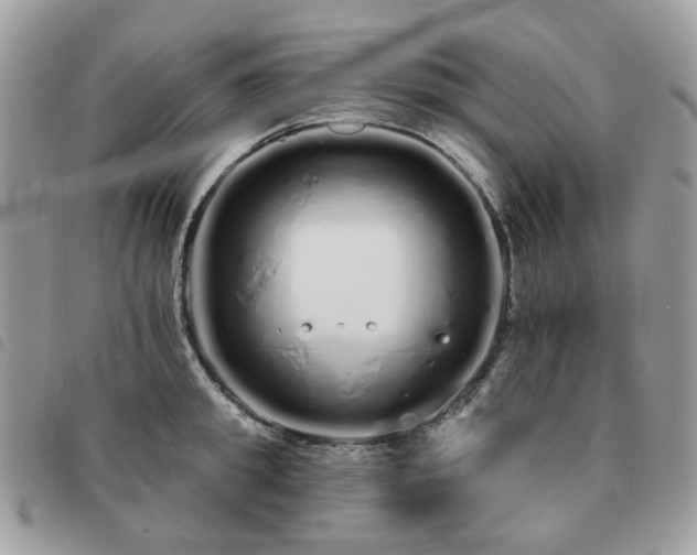 X0000091310949200708171412