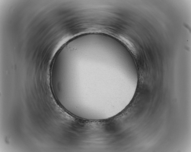 X0000091310950200708171412