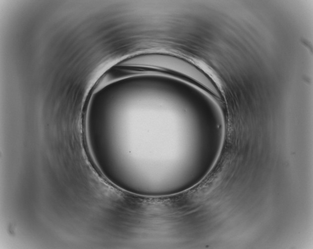 X0000091310951200708171412