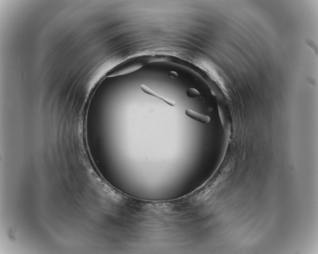 X0000091310952200708171412