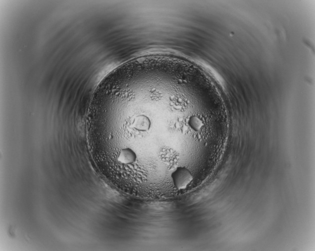 X0000091310953200708171412