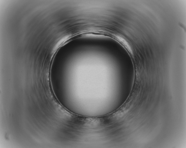 X0000091310954200708171412